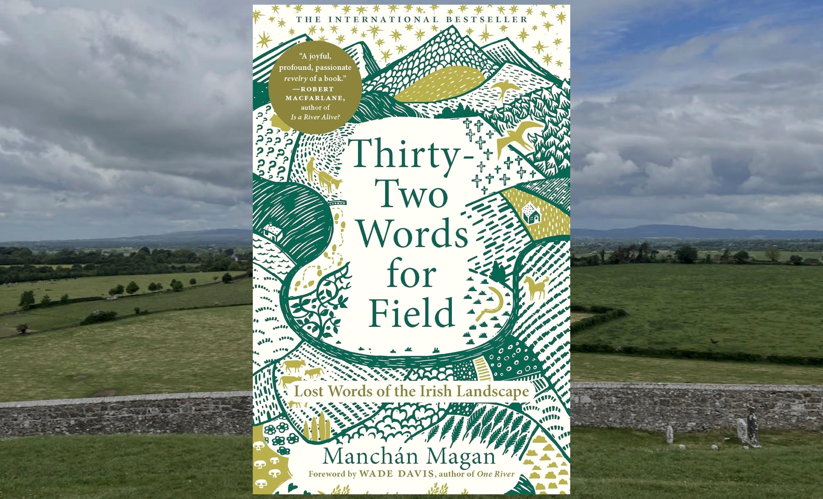 Why Irish Needs 32 Words for “Field” - Ron Charles