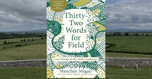 Ron Charles (@roncharles): "When he was 7, Manchán Magan found a ...