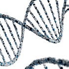 My template for trading Biotech stocks