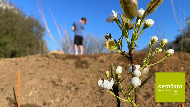 Terrain implanté ce printemps