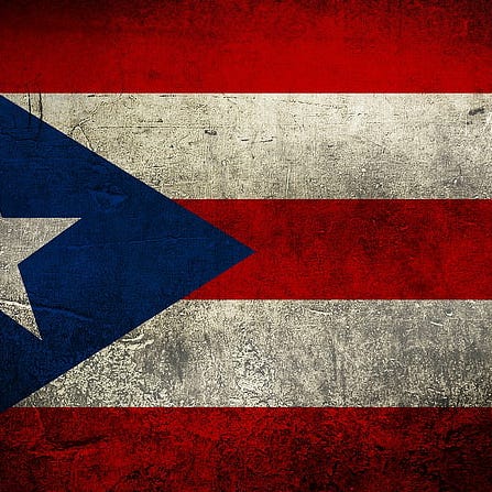 The Diasporican Writer