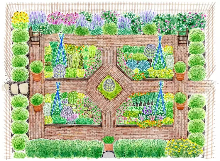 French Kitchen Garden Illustration French Kitchen Garden Illustration