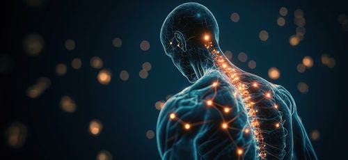 Human spine and nervous system visualization with glowing neural connections Human spine and nervous system visualization with glowing neural connections