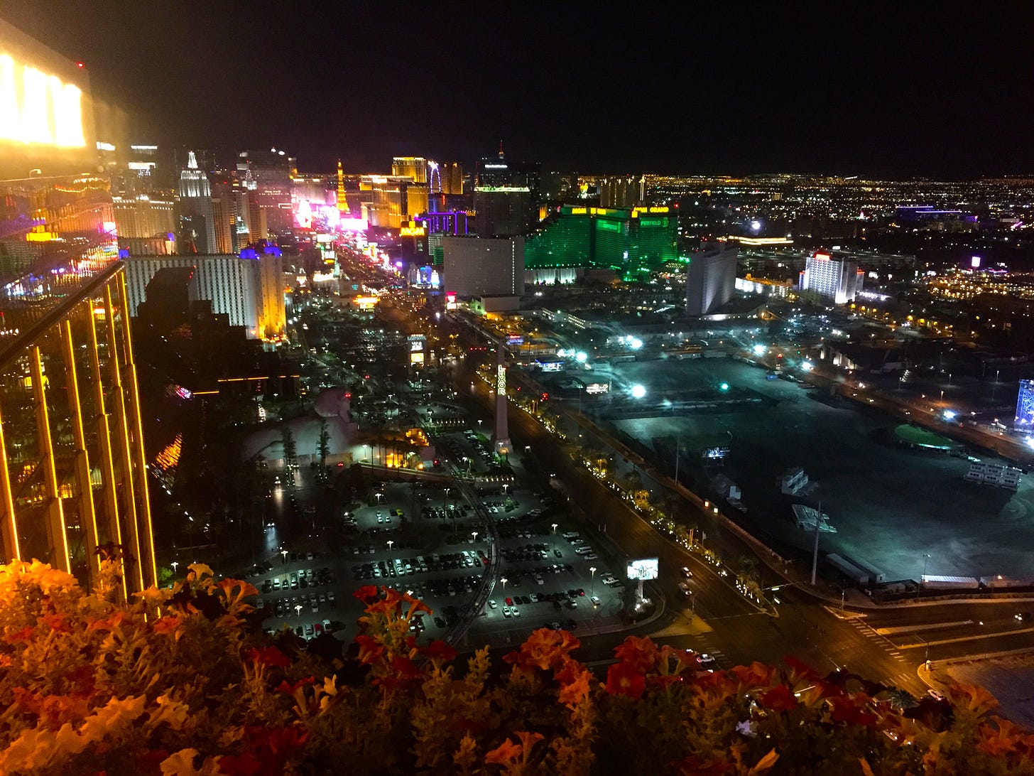Image credit: Jennifer Morrow from San Francisco, CC BY 2.0, via Wikimedia Commons Image credit: Jennifer Morrow from San Francisco, CC BY 2.0, via Wikimedia Commons