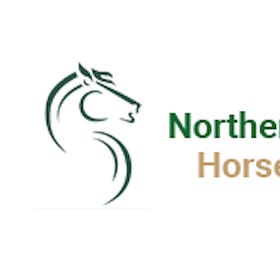 NIHB Christmas Raffle
