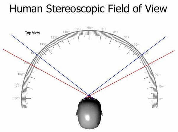 In 1st person video games, why don't they introduce peripheral vision? -  Quora