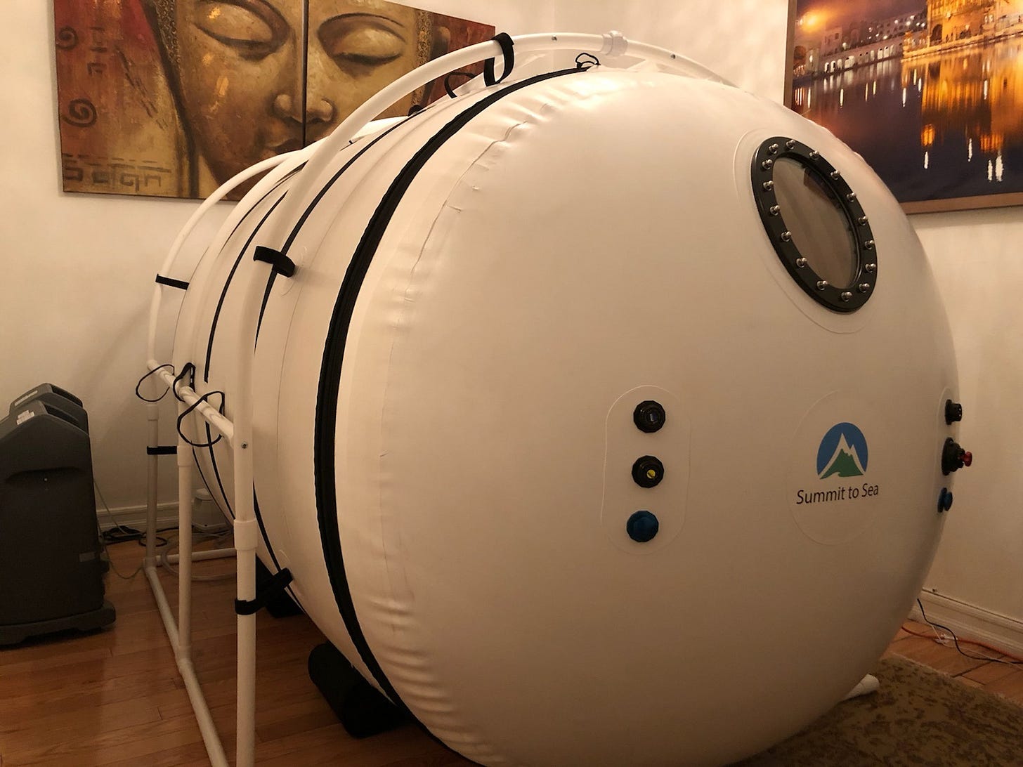 The Cutting Edge of Healing: High-Tech Solutions for Gut Health and Autoimmunity with Dr. Har Hari Khalsa, Image of a Hyperbaric Oxygen Chamber