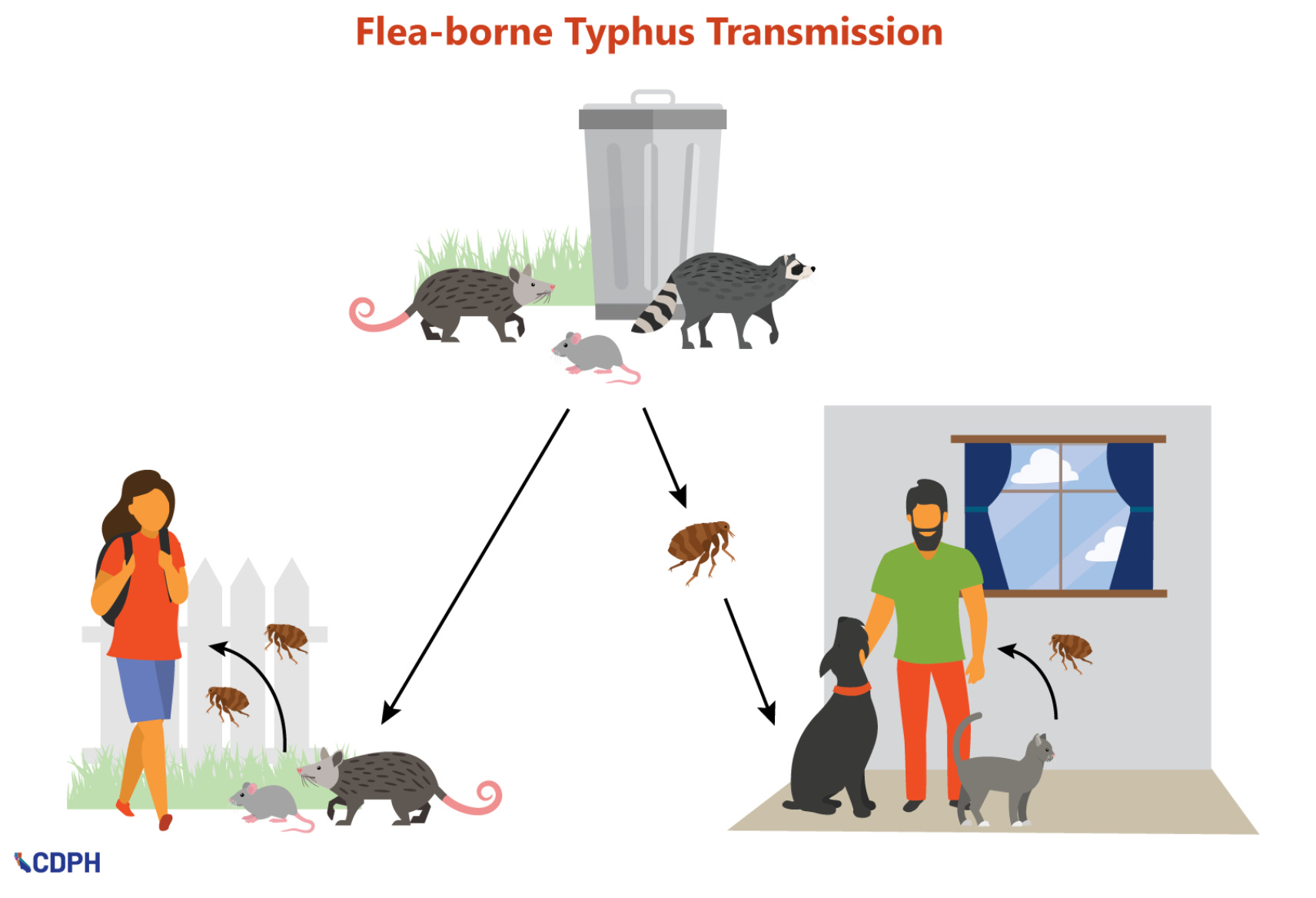 Typhus in LA, and a life-saving net in San Francisco