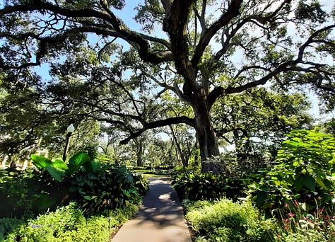 Scenes from the gardens and yard of the Houmas House including a pond sculpture of a crane, the pillars of the front porch with a peacock, and large old live oak trees.