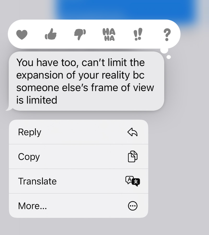 Screen capture of a text message conversation reading, "You...can't limit the expansion of your reality bc someone else's frame of view is limited."