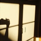 my favorite photographs from 2025