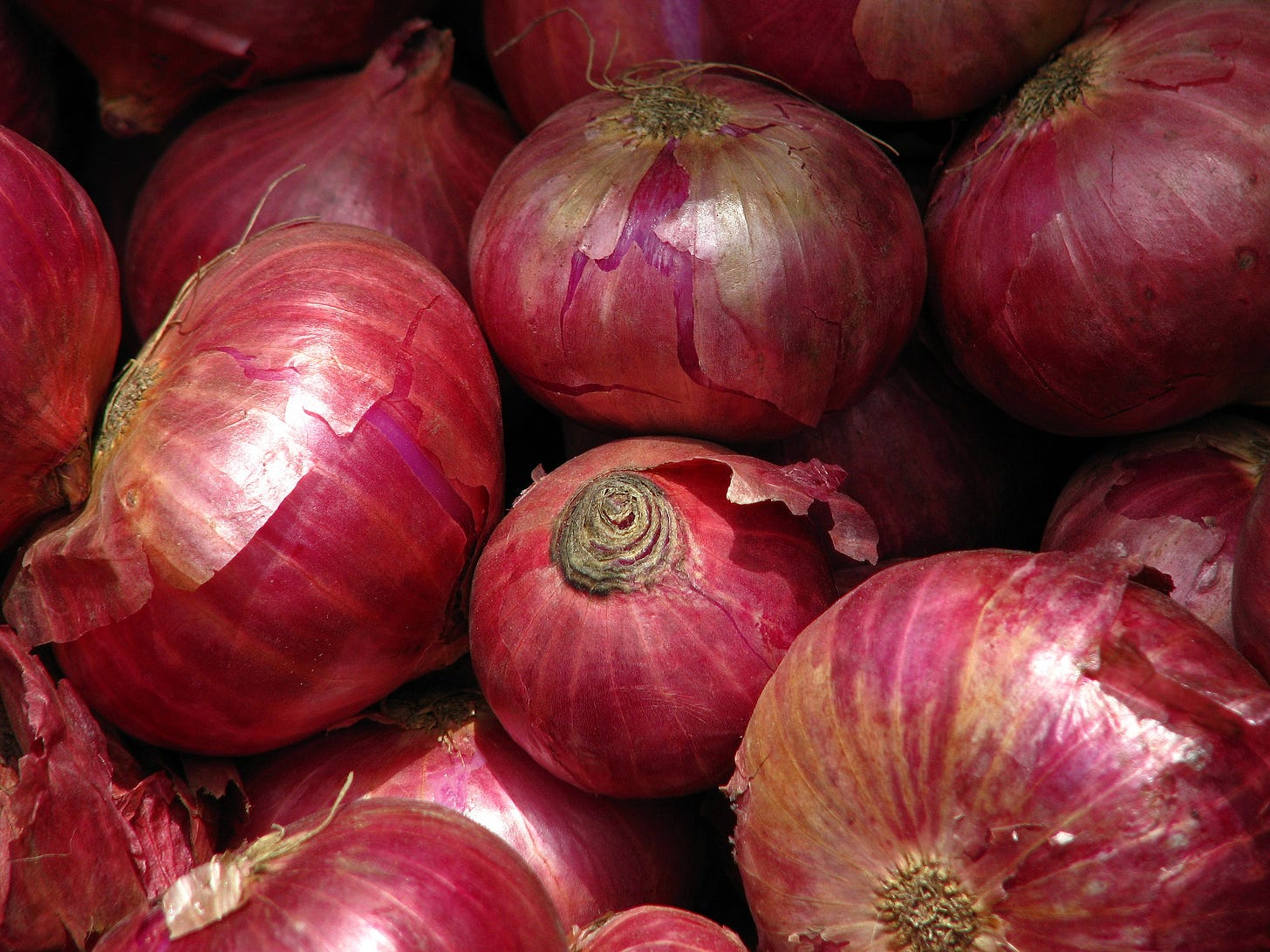 Several red onions. Photo by McKay Savage