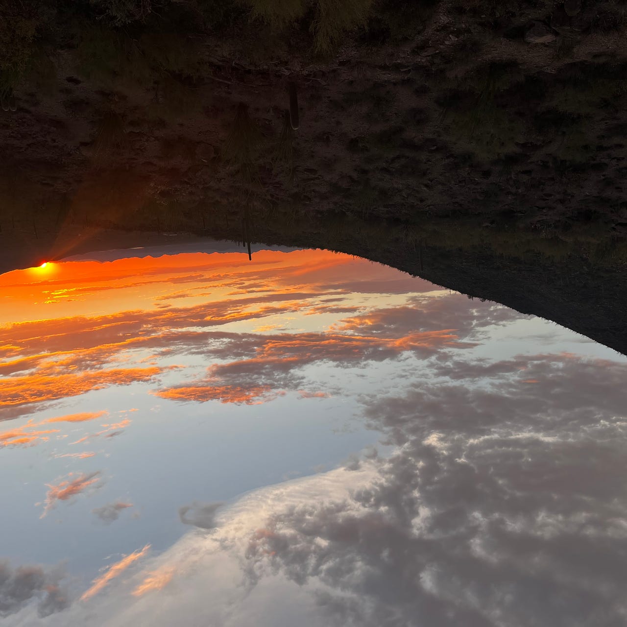 notes from the desert