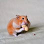 The Hungry Hamster's avatar