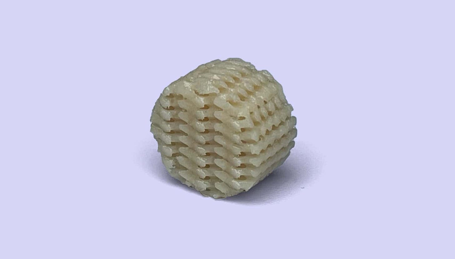 Sallea's scaffold