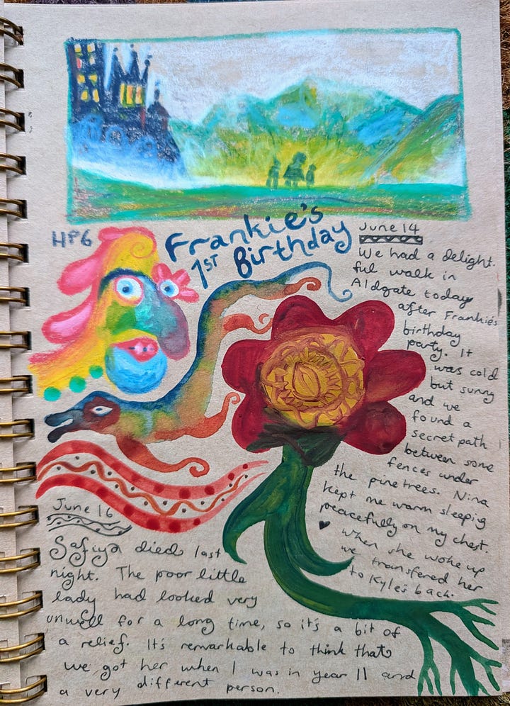 Life Journal Illustrated Pages