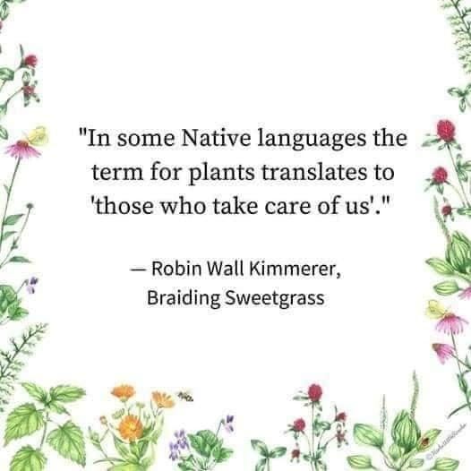 May be an image of text