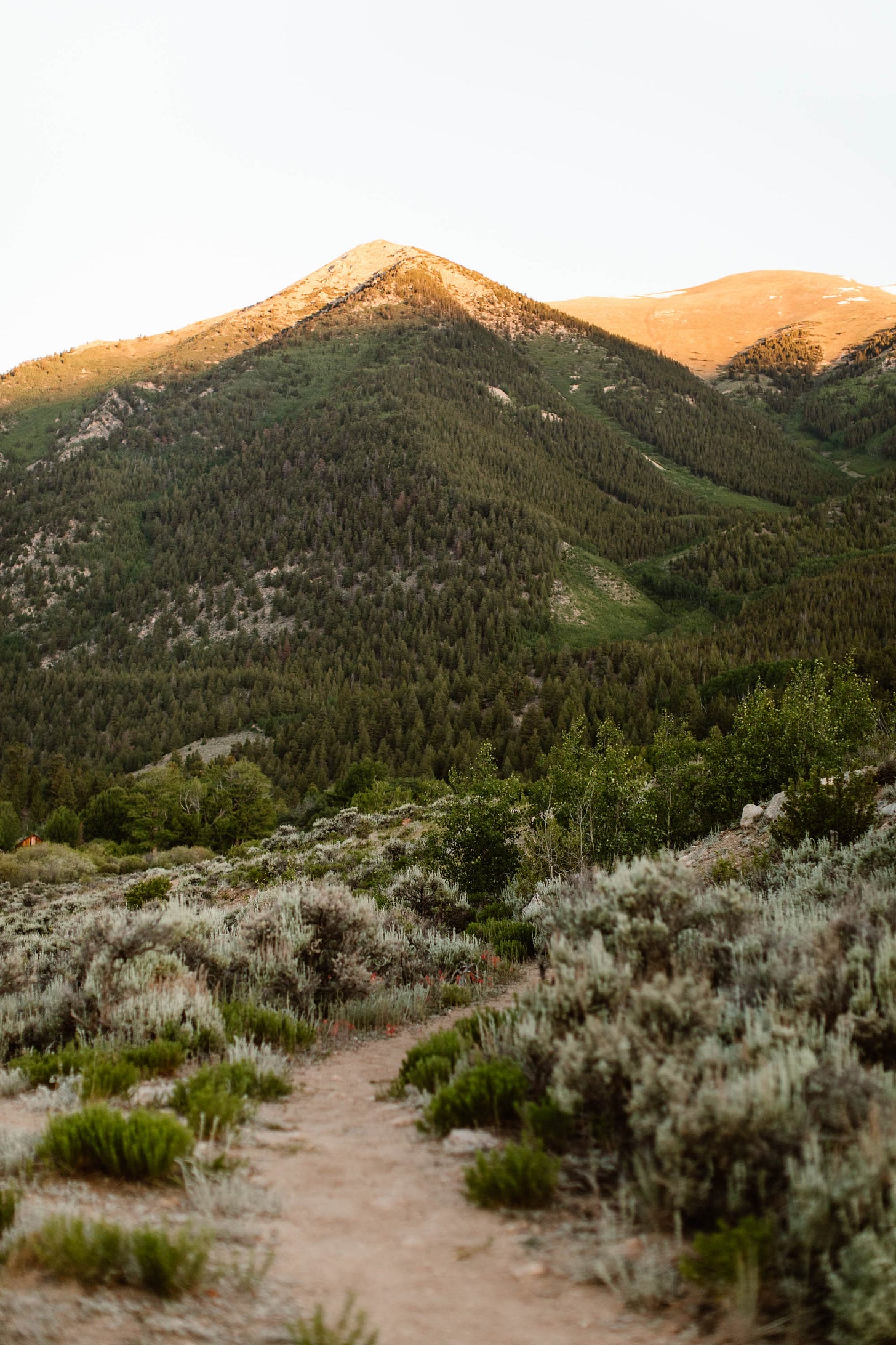 hiking trail in the mountains hiking trail in the mountains