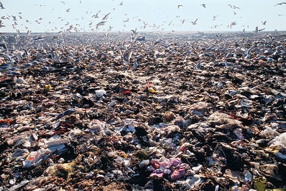 Fresh Kills Landfill in Staten Island | Atlas Obscura Fresh Kills Landfill in Staten Island | Atlas Obscura