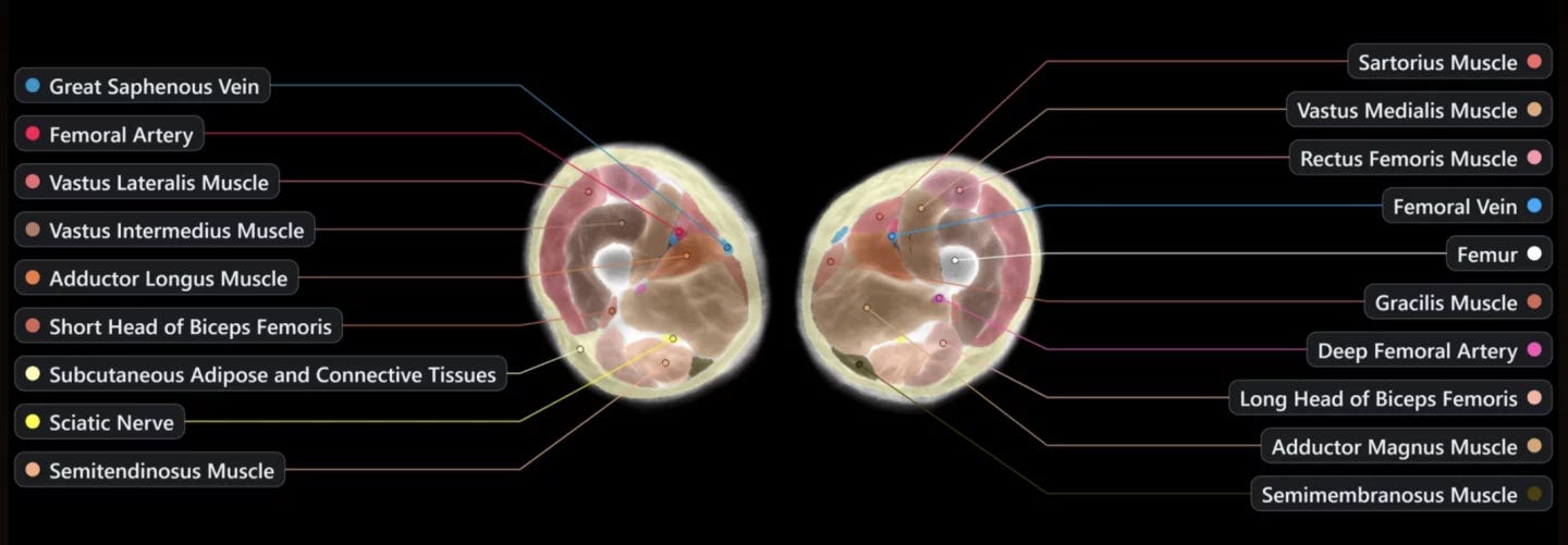 An example of the scan data expected to be gathered