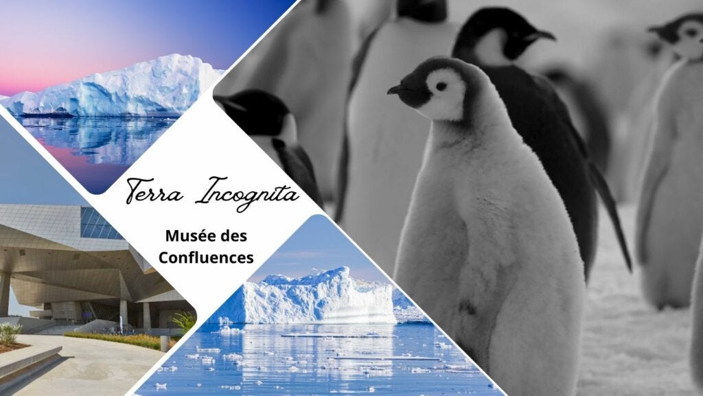 L'exposition polaire Terra Incognita au Musée des Confluences, par Luc Jacquet