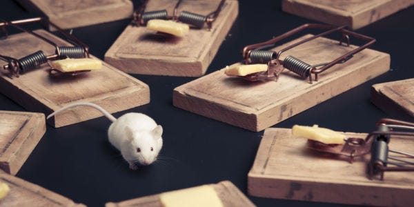 What is The Best Mouse Trap to Use? | Premier Pest Control What is The Best Mouse Trap to Use? | Premier Pest Control