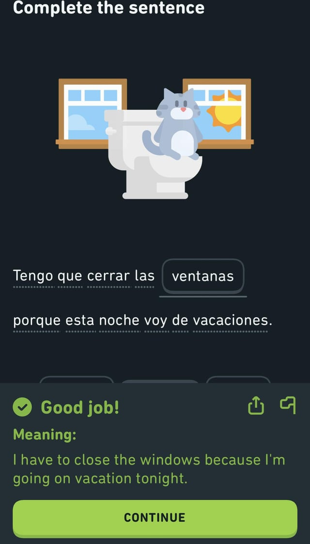 I have more questions than answers… : Second Language Strategies