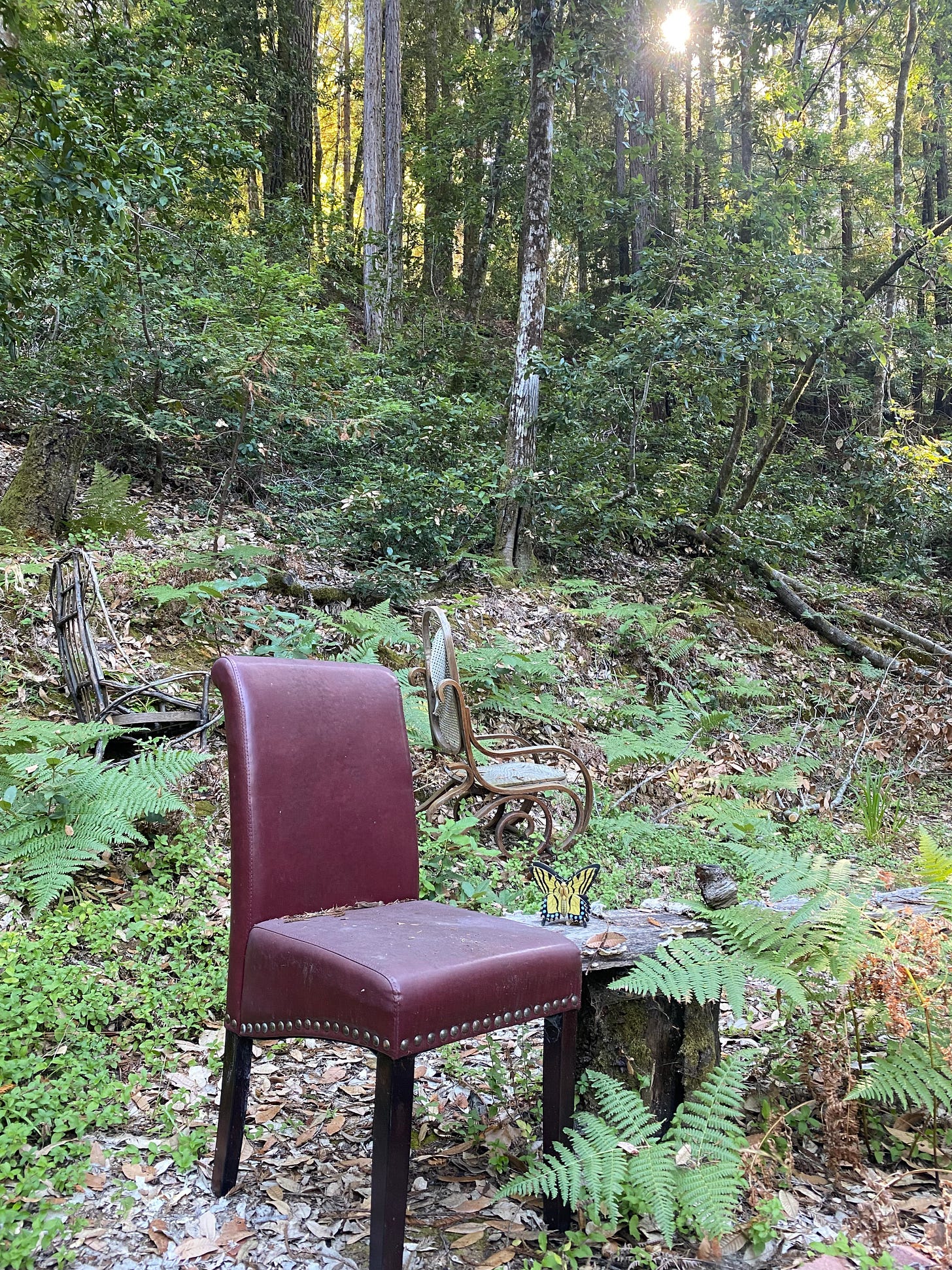 An empty chair in a forest clearing, with two broken chairs and sunlight on a wooded slope beyond An empty chair in a forest clearing, with two broken chairs and sunlight on a wooded slope beyond