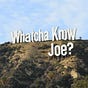 Joe Wallenstein's avatar