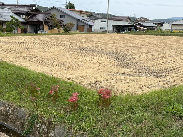 Images of the Japanese countryside and rice harvest