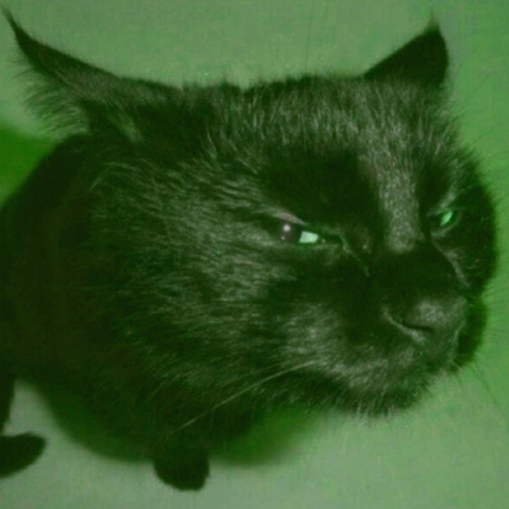 tenho medo de mim