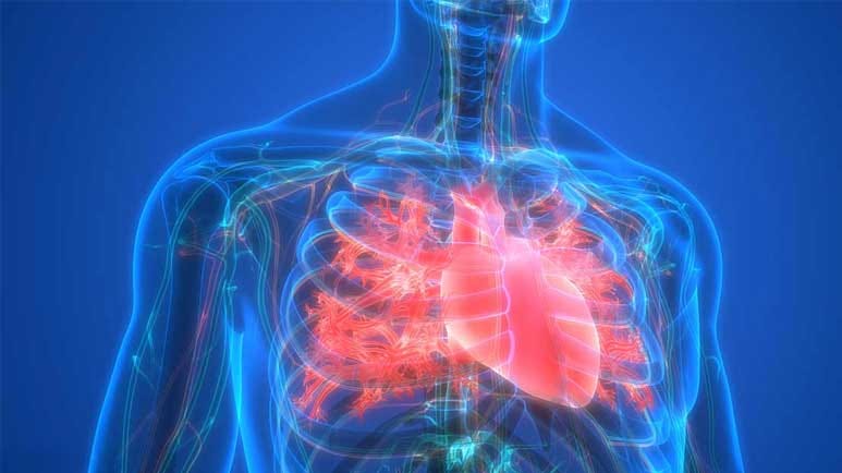 healthy diet metabolic health