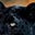 black jag energy's avatar