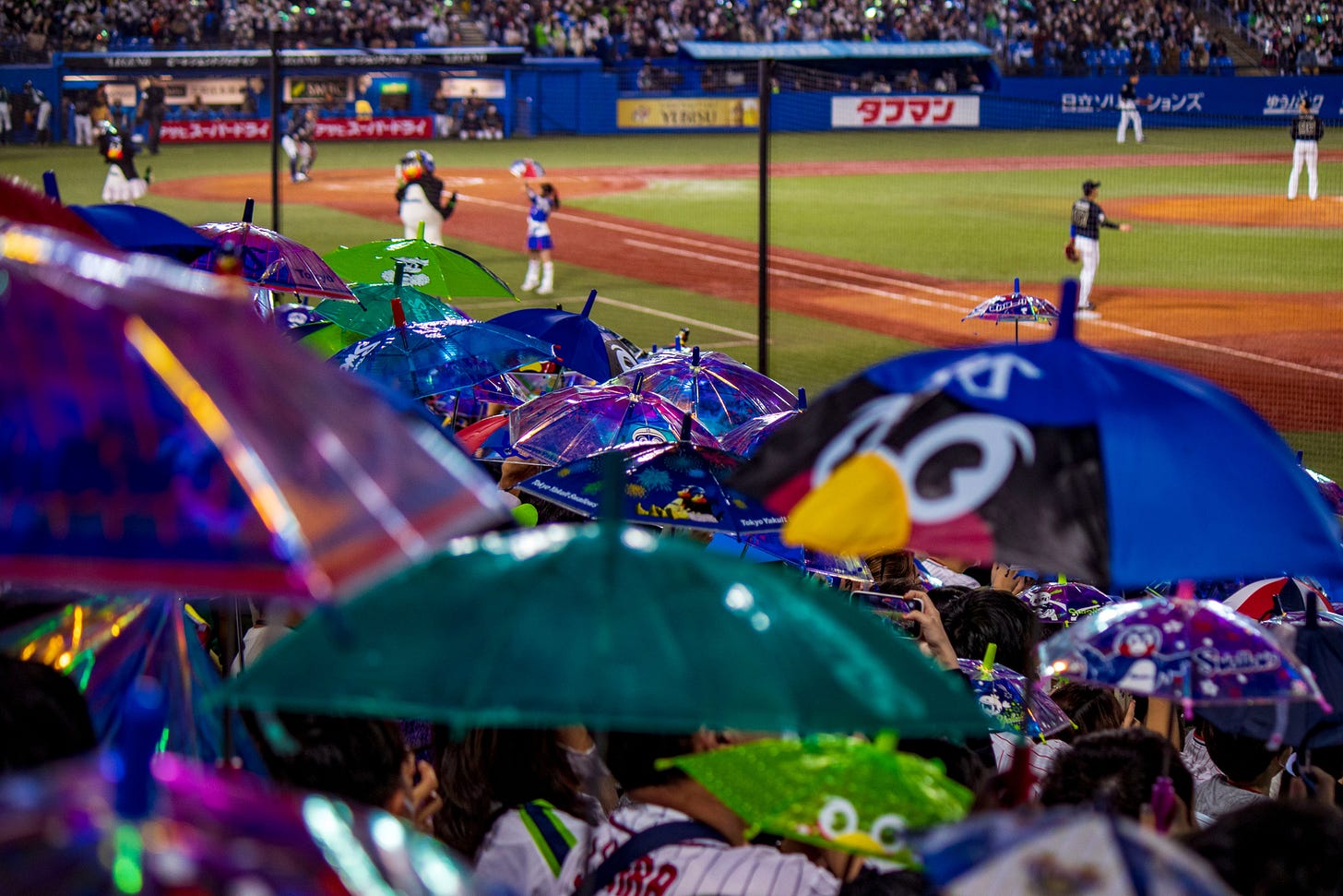 明治神宮野球場（公式） on Twitter: "⛱Go Go Swallows⛱ #swallows #熱燕 #SMBC日本シリーズ #神宮 ...