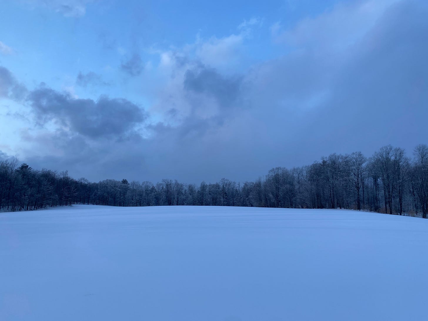 View of a snowy field, dark snow-covered trees along the horizon, and a wide blue sky, full of clouds.