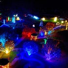 What's happening in Alexandria: Thursday, December 4