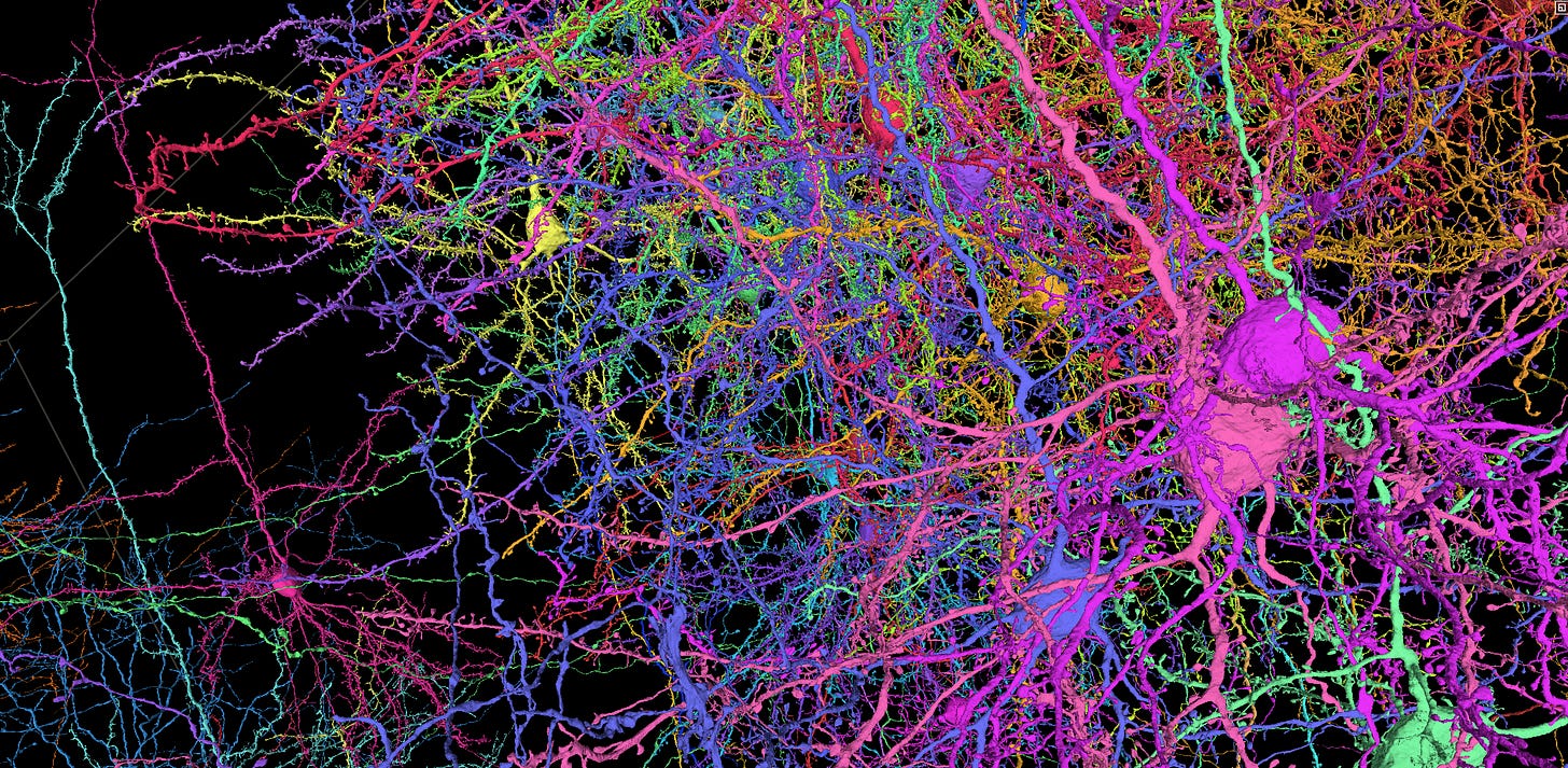 A rendering of several cells in the dataset that is used as the background for the main page on the cubic millimeter dataset.