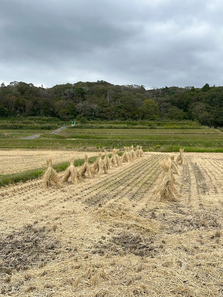 Various scenes of the Japanese countryside including fig trees, old signposts, rice stooks and abandoned buildings