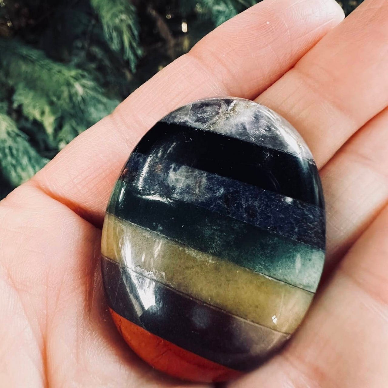 Sue Evergreen’s Substack