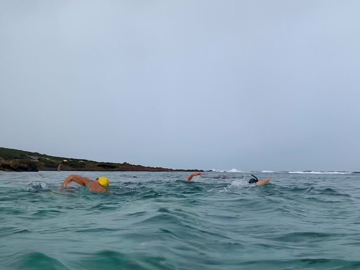Three people swim away from the camera. They are ocean swimming on an overcast day. Some wear cap and goggles, one is in a mask and snorkel. The water is smooth.