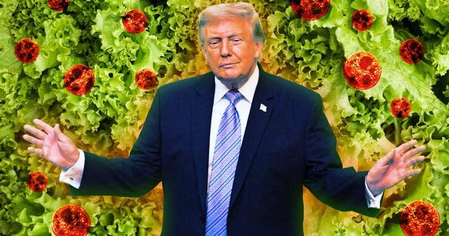 r/politics - Taylor Farms Visited White House Before Getting Outbreak Reprieve