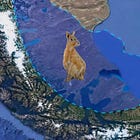 More energy for Argentina: Palermo Aike