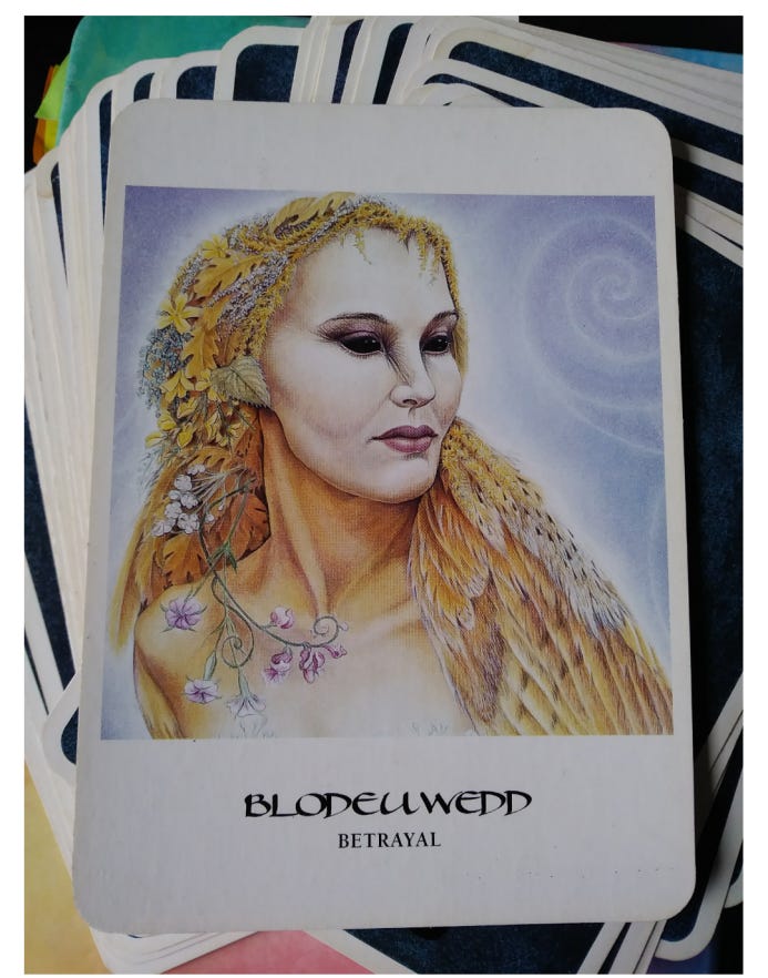 A Message from the Universe - Blodeuwedd A Message from the Universe - Blodeuwedd