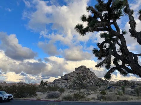 Photos and paintings of Joshua Tree