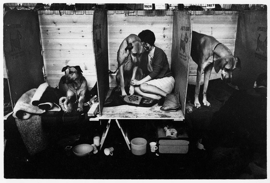 Tony Ray-Jones (1941-1972) - Photographs by Tony Ray-Jones | fotógrafo que inspirou Martin Parr Tony Ray-Jones (1941-1972) - Photographs by Tony Ray-Jones | fotógrafo que inspirou Martin Parr