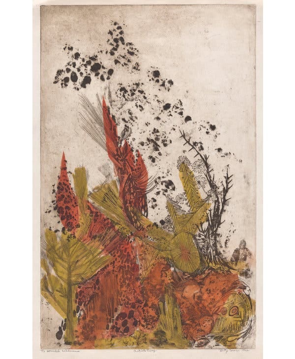 “The Wounded Wilderness,” 1962.
