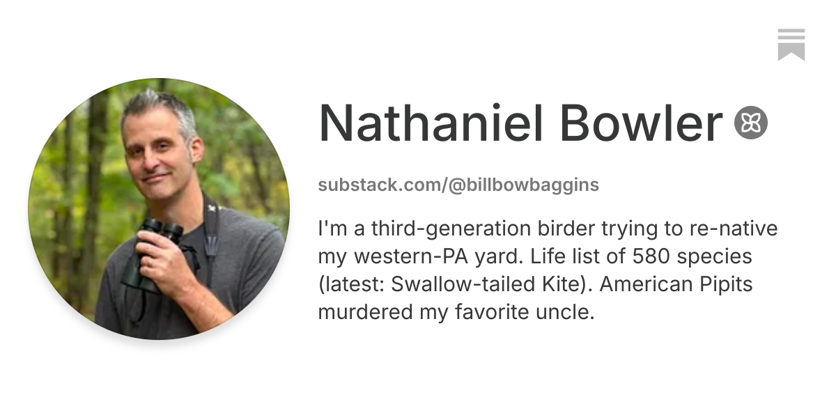 Nathaniel Bowler | Substack