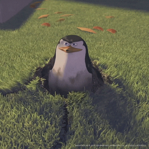 You Didn't See Anything GIFs - Find & Share on GIPHY
