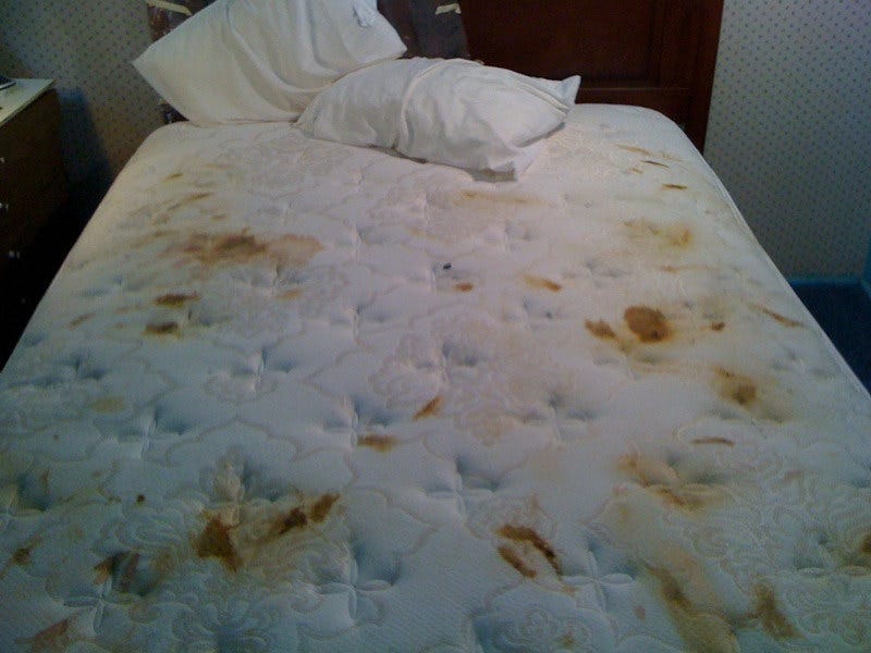 Shit the bed | tacokisses | Flickr