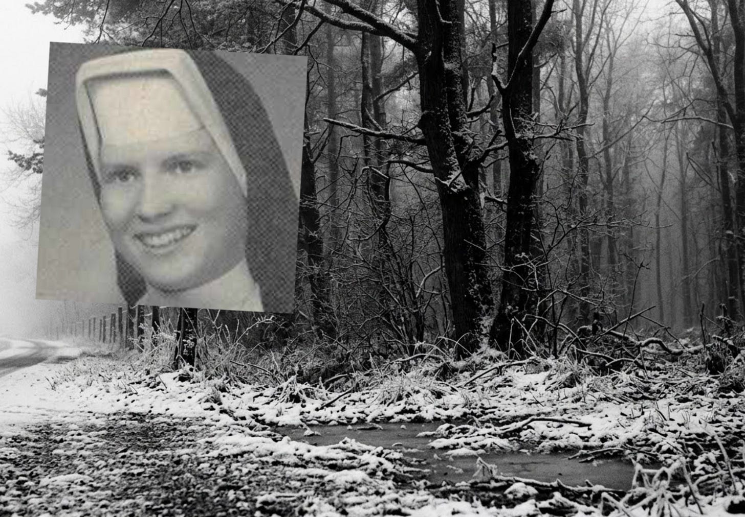 Murdered Cathy Cesnik sits on an image of a snowy forest Murdered Cathy Cesnik sits on an image of a snowy forest